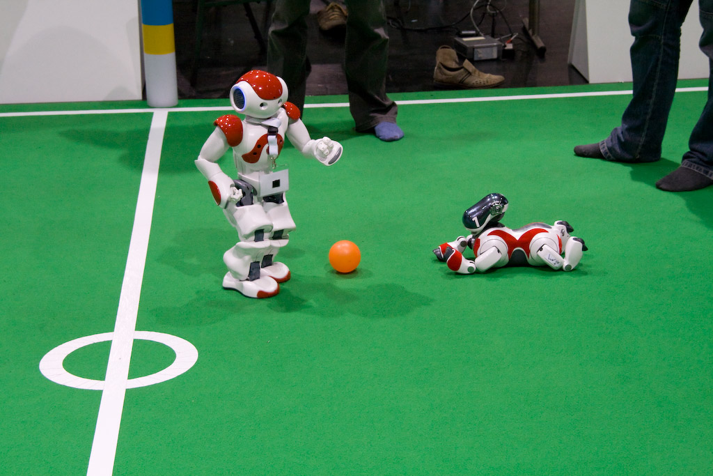 04_-_nao_mit_aibo.jpg
