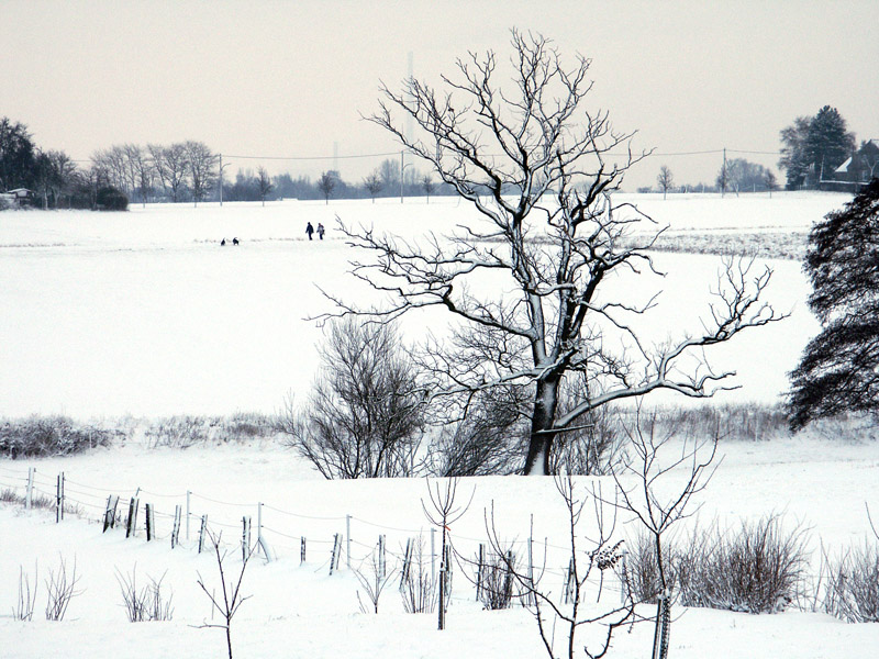 Holthauser Bach im Winter