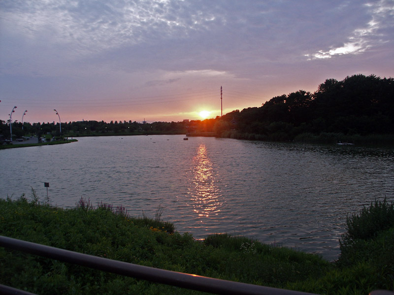 osaka_park.jpg osaka_park.jpg
